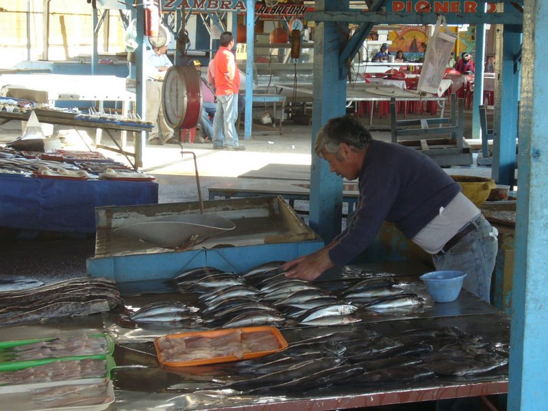 Fish market